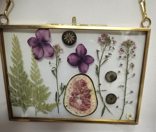 Kitchen decor pressed real - pressed,